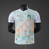 Player Version Ivory Coast Away Jersey 2026 World Cup Football Kit Soccer Shirt PalmSportss