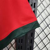 Portugal Jersey Home kit 1972 Retro