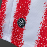 Paraguay Away Jersey 2026 World Cup Football Kit Soccer Jersey PalmSportss