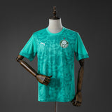 Palmeiras Training Jersey 2026-2027 Football Kit Soccer Shirt PalmSportss
