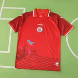 Haiti Third Jersey 2026 World Cup Football Kit Soccer Shirt PalmSportss