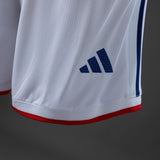 Player Version Japan Home Shorts 2026 World Cup Football Kit Soccer Shirt