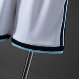 Player Version Argentina White Shorts 2026 World Cup Football Kit Soccer Shirt