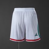 Player Version Mexico Home Shorts 2026 World Cup Football Kit Soccer Shirt