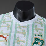 Player Version Ivory Coast Away Jersey 2026 World Cup Football Kit Soccer Shirt PalmSportss