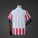 Paraguay Away Jersey 2026 World Cup Football Kit Soccer Jersey PalmSportss