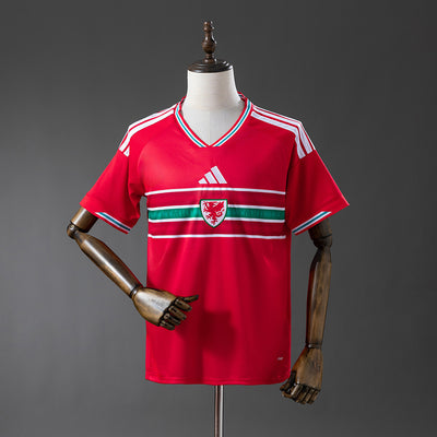 Wales Trikot Fußballtrikot Heimtrikot WM 2026