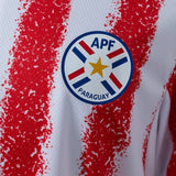 Paraguay Away Jersey 2026 World Cup Football Kit Soccer Jersey PalmSportss
