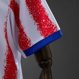 Paraguay Away Jersey 2026 World Cup Football Kit Soccer Jersey PalmSportss