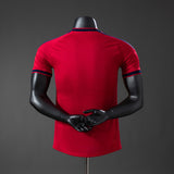 Player Version Spain Special Jersey 2026 World Cup Football Kit Soccer Shirt