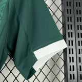 player version plymouth argyle jersey 25/26 home football kit soccer jersey - PalmSportss