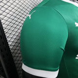 player version palmeiras jersey 25/26 home football kit soccer jersey - PalmSportss