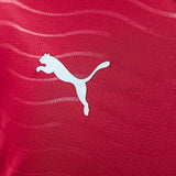 Portugal Jersey 2026 World Cup Home Football Kit - PalmSportss